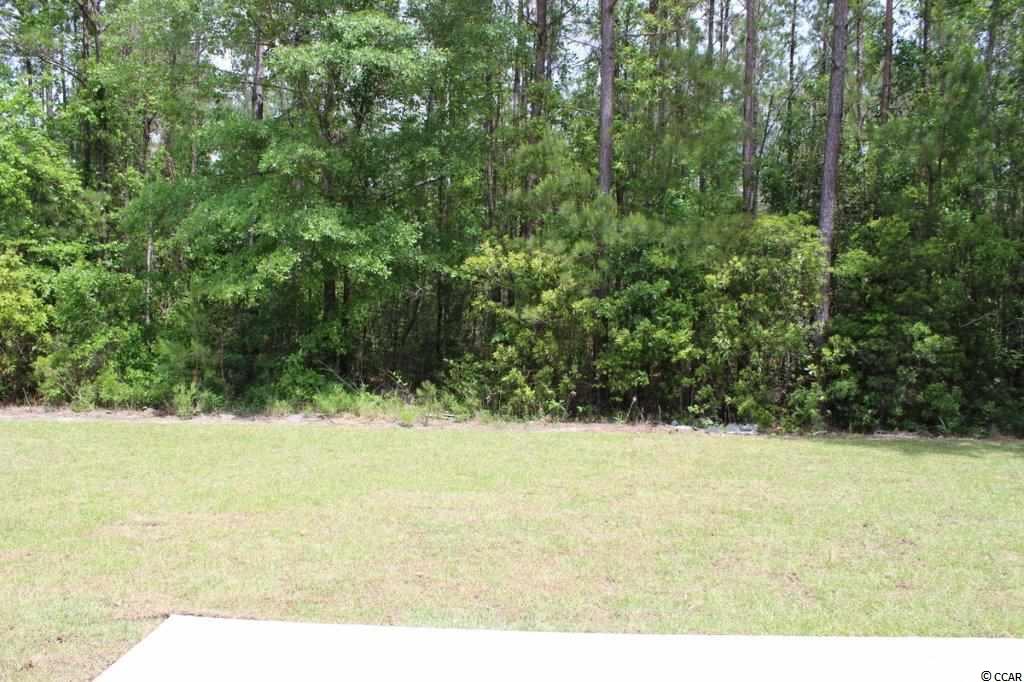 4060 Ridgewood Drive Conway, SC 29526 - Photo 16 of 25 Gallery Image 16