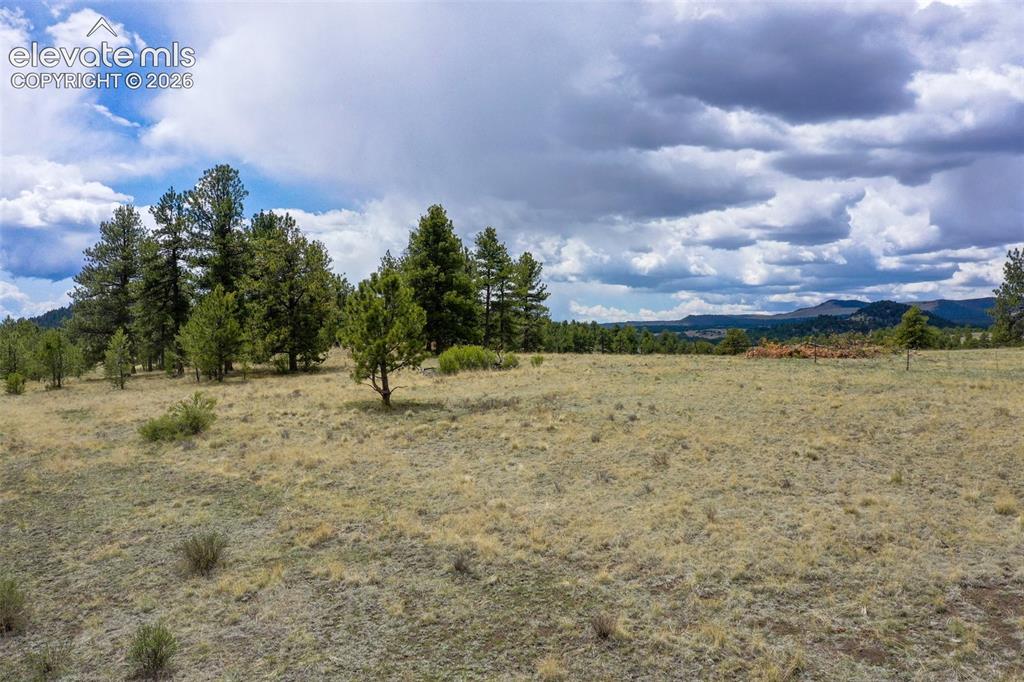 Tbd Doe Valley Road Guffey, CO 80820 - Photo 18 of 19 True ground views in the distance.