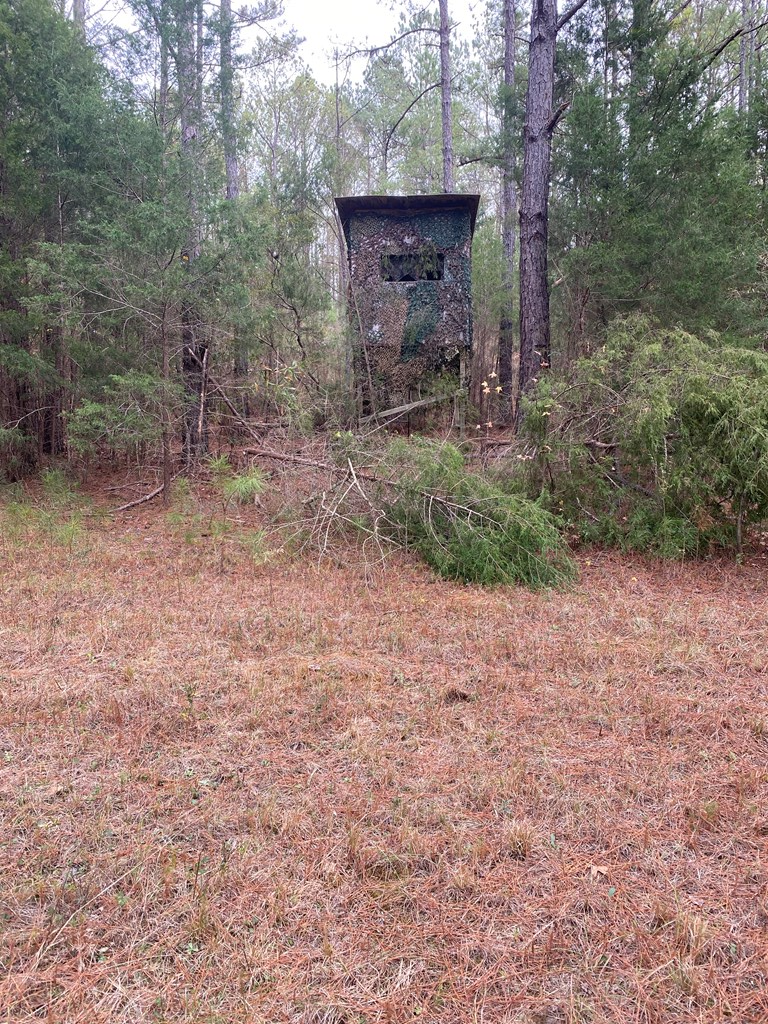 527 Nuckols Road Fort Mitchell, AL 36856 - Photo 19 of 22