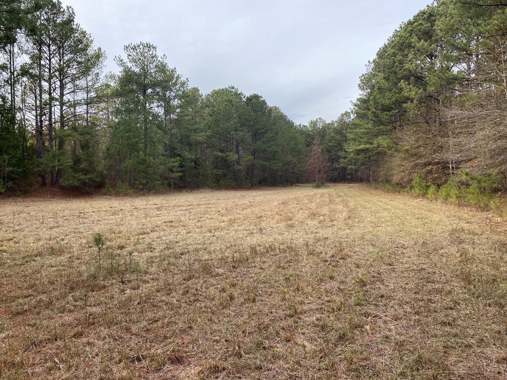 527 Nuckols Road Fort Mitchell, AL 36856 - Photo 20 of 22