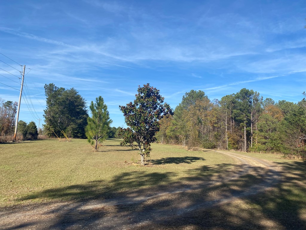 527 Nuckols Road Fort Mitchell, AL 36856 - Photo 2 of 22