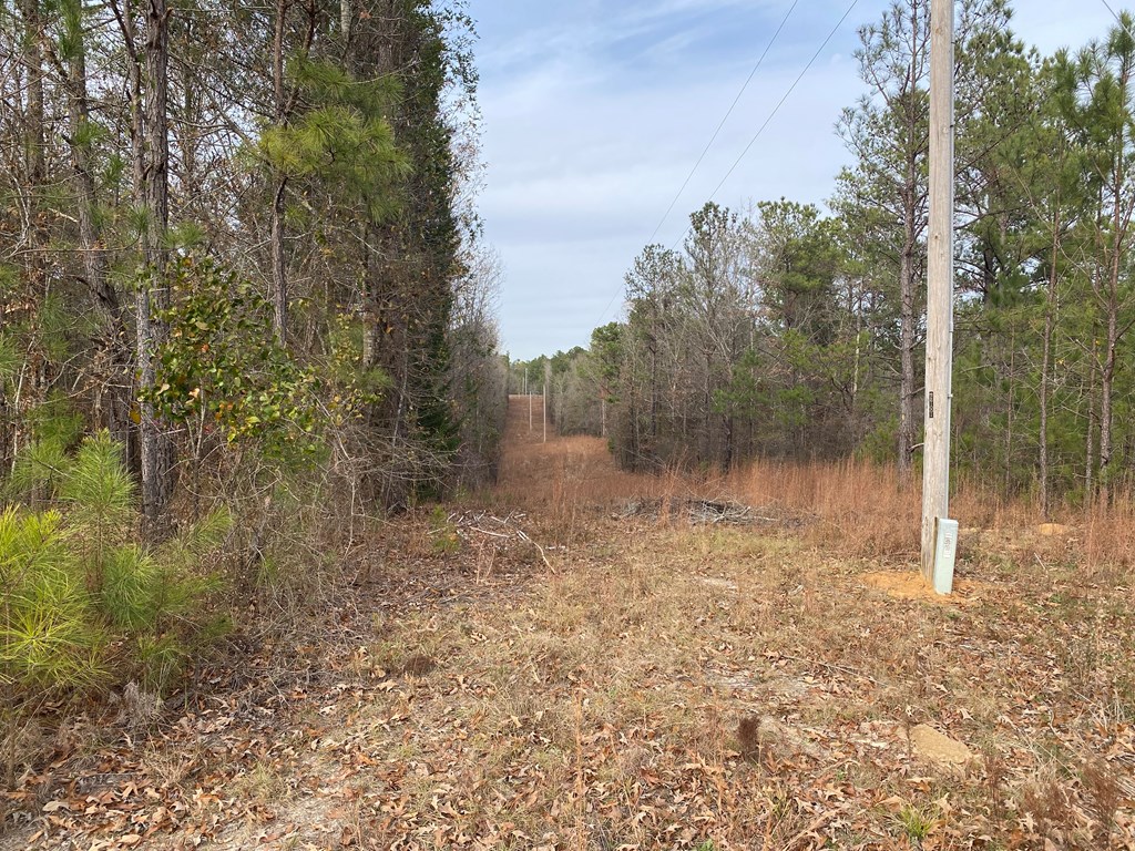 527 Nuckols Road Fort Mitchell, AL 36856 - Photo 21 of 22