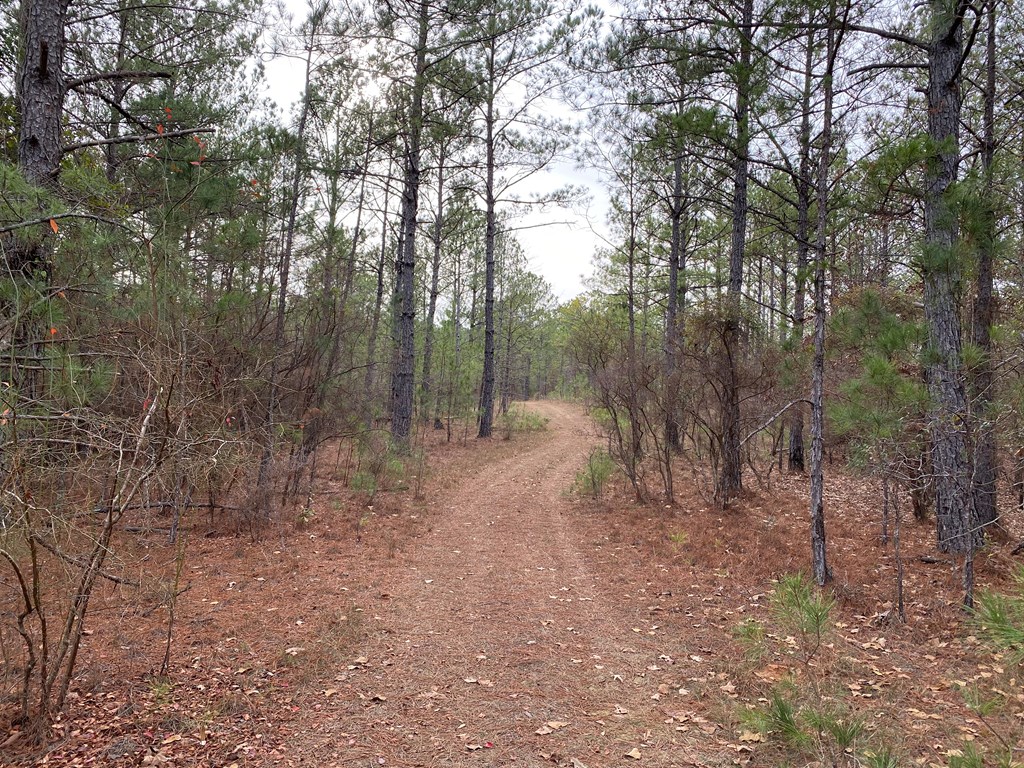 527 Nuckols Road Fort Mitchell, AL 36856 - Photo 22 of 22