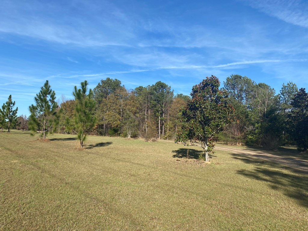 527 Nuckols Road Fort Mitchell, AL 36856 - Photo 3 of 22