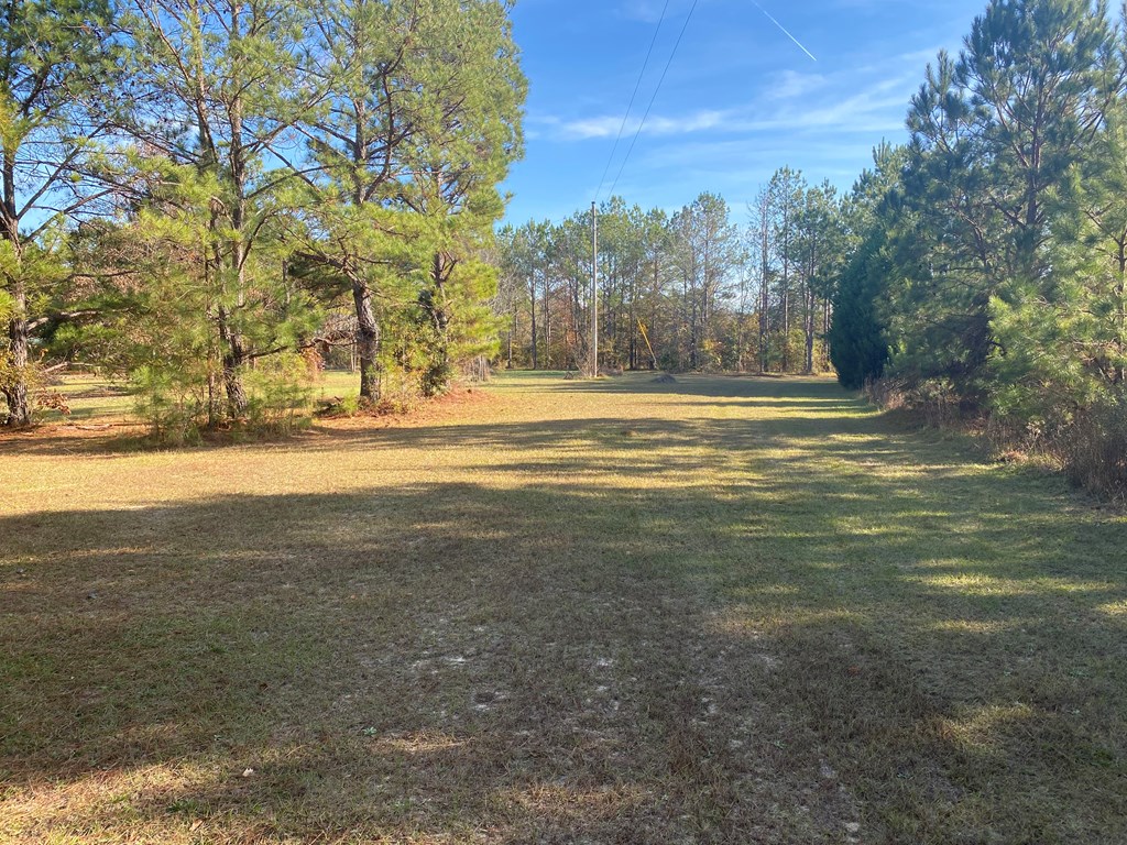 527 Nuckols Road Fort Mitchell, AL 36856 - Photo 4 of 22