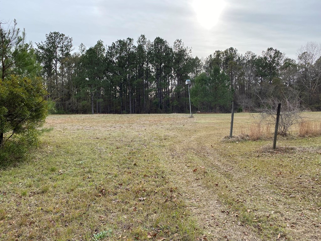 527 Nuckols Road Fort Mitchell, AL 36856 - Photo 5 of 22