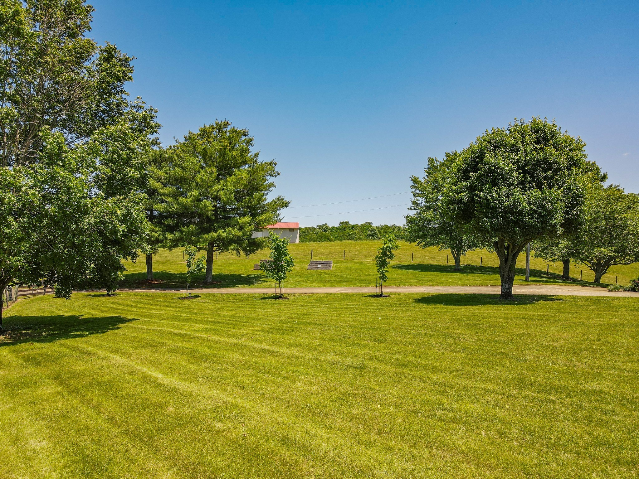 877 Mt Olive Cemetery Road Lynnville, TN 38472 - Photo 59 of 100
