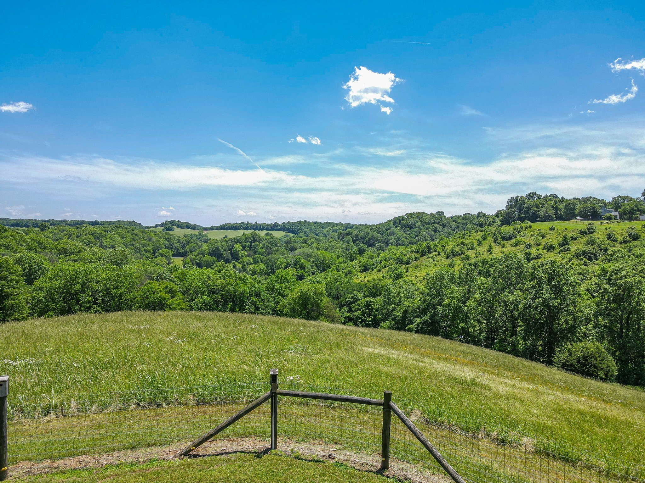 877 Mt Olive Cemetery Road Lynnville, TN 38472 - Photo 80 of 100
