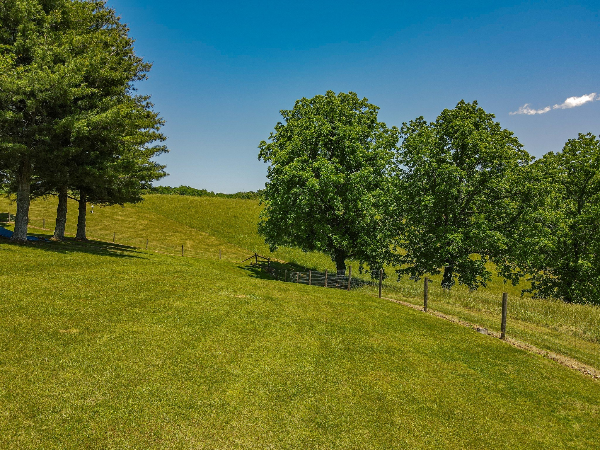 877 Mt Olive Cemetery Road Lynnville, TN 38472 - Photo 81 of 100