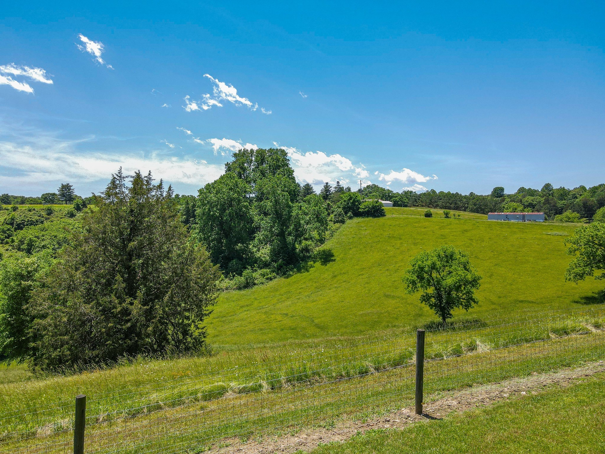 877 Mt Olive Cemetery Road Lynnville, TN 38472 - Photo 82 of 100