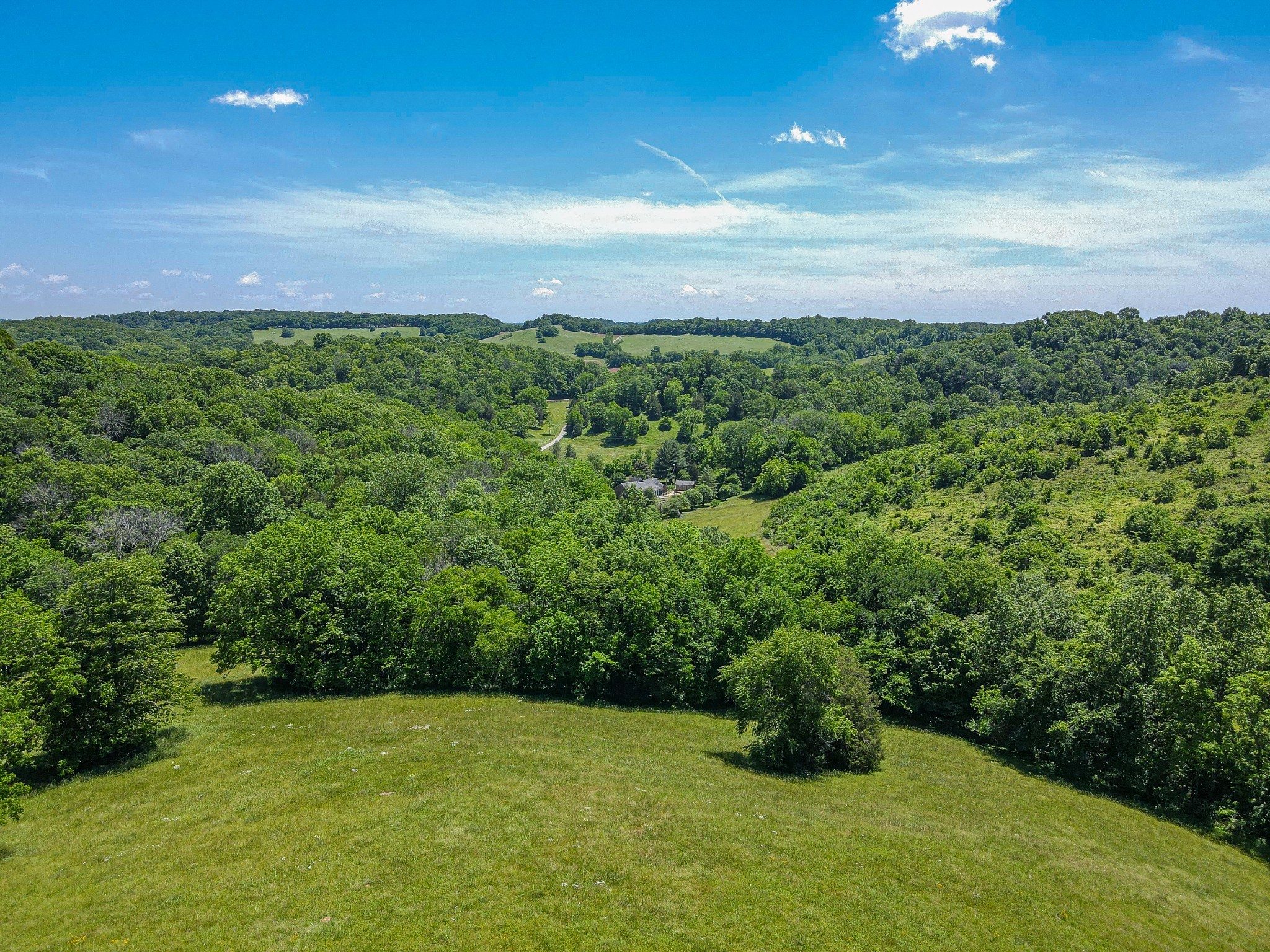 877 Mt Olive Cemetery Road Lynnville, TN 38472 - Photo 83 of 100