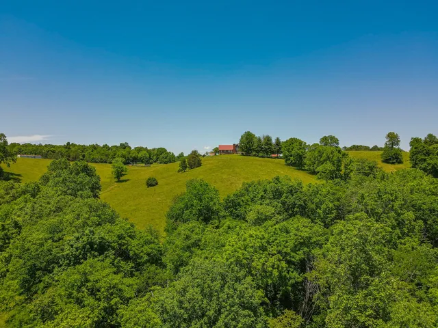 $894,800 | 877 Mt Olive Cemetery Road, Lynnville, TN 38472