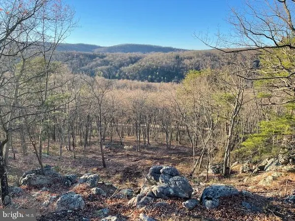 $250,000 | 209 Bowman Drive, Capon Bridge, WV 26711