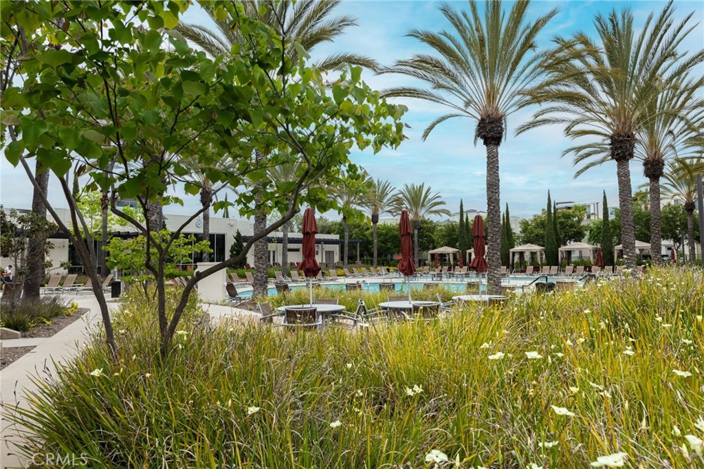 5341 Strand, Unit 105 Hawthorne, CA 90250 - Photo 41 of 67 a view of a lake with palm trees