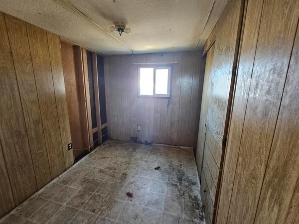 a view of backyard with tree