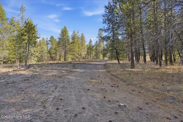 $299,900 | 33482 North Charlotte Drive, Spirit Lake, ID 83869