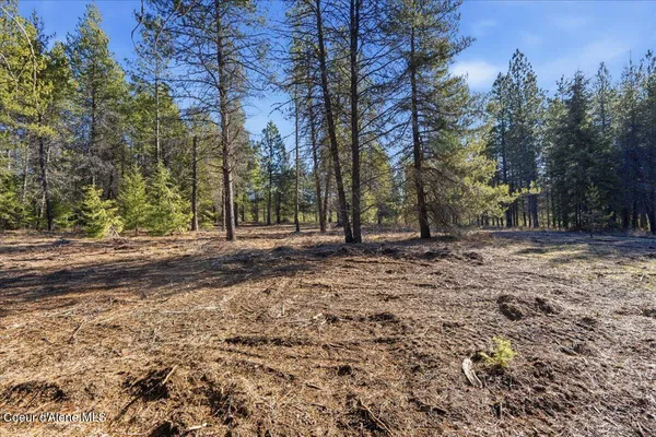 $299,900 | 33482 North Charlotte Drive, Spirit Lake, ID 83869