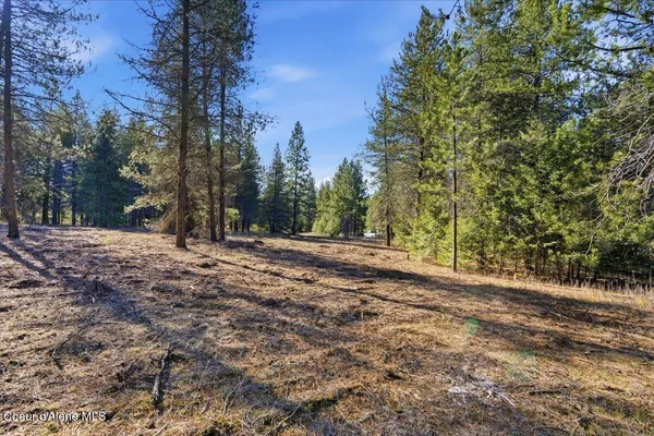 $299,900 | 33482 North Charlotte Drive, Spirit Lake, ID 83869