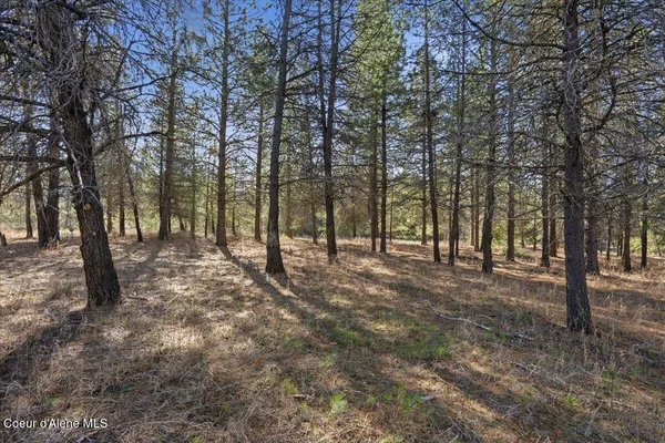$299,900 | 33482 North Charlotte Drive, Spirit Lake, ID 83869