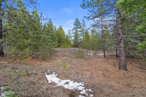 $299,900 | 33482 North Charlotte Drive, Spirit Lake, ID 83869