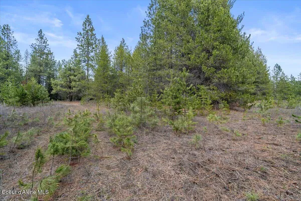 $299,900 | 33482 North Charlotte Drive, Spirit Lake, ID 83869