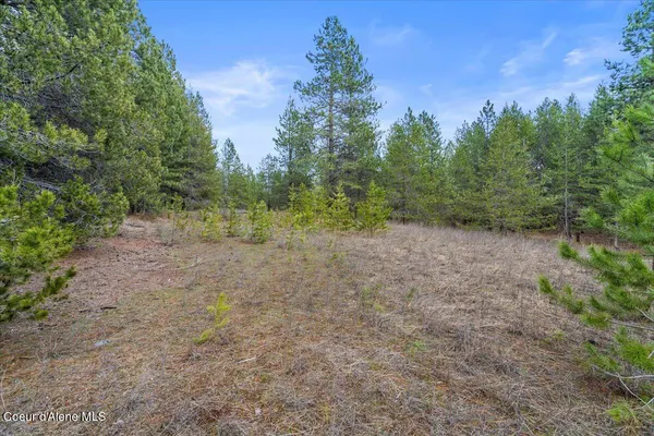 $299,900 | 33482 North Charlotte Drive, Spirit Lake, ID 83869