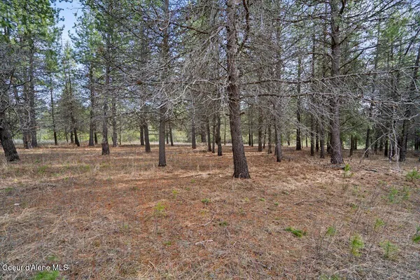 $299,900 | 33482 North Charlotte Drive, Spirit Lake, ID 83869