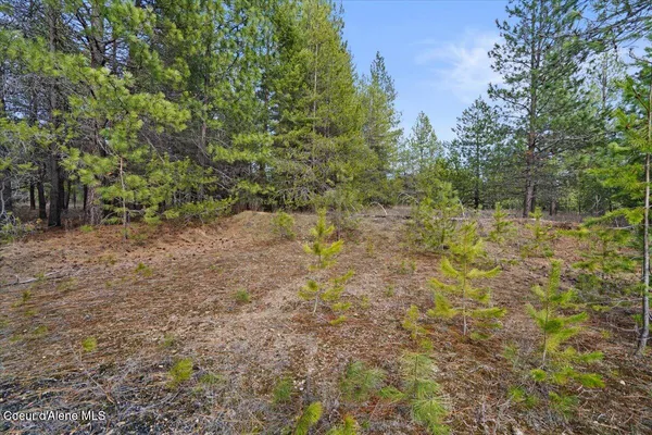 $299,900 | 33482 North Charlotte Drive, Spirit Lake, ID 83869