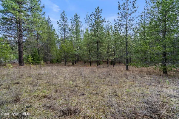 $299,900 | 33482 North Charlotte Drive, Spirit Lake, ID 83869