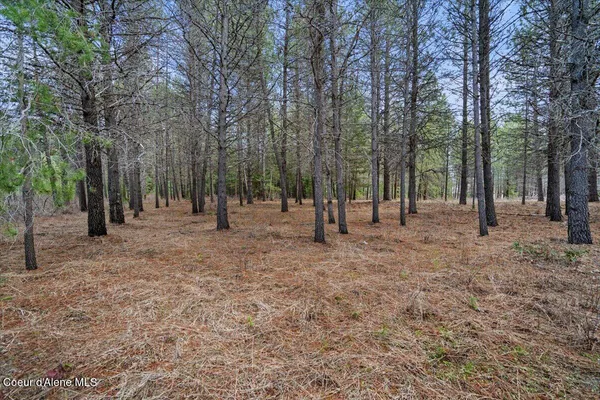 $299,900 | 33482 North Charlotte Drive, Spirit Lake, ID 83869