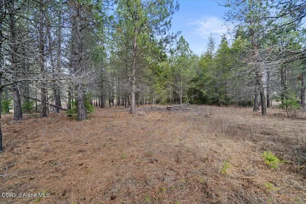 $299,900 | 33482 North Charlotte Drive, Spirit Lake, ID 83869