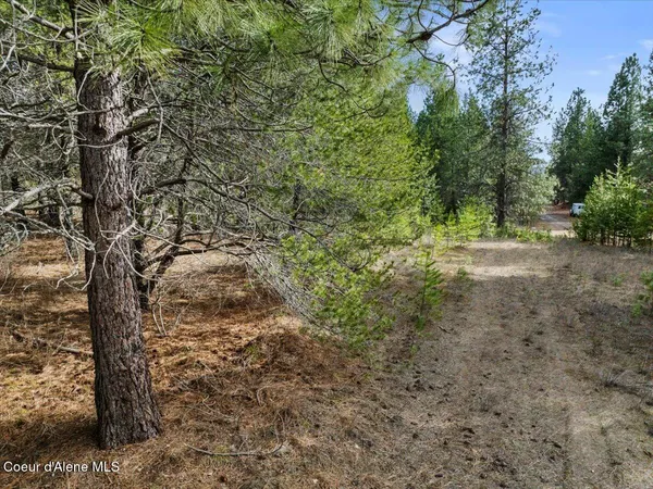 $299,900 | 33482 North Charlotte Drive, Spirit Lake, ID 83869