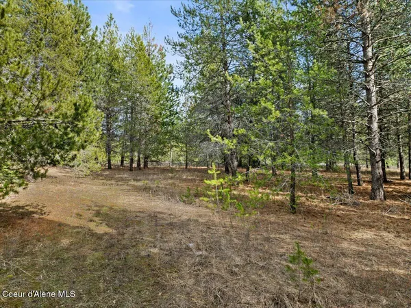 $299,900 | 33482 North Charlotte Drive, Spirit Lake, ID 83869