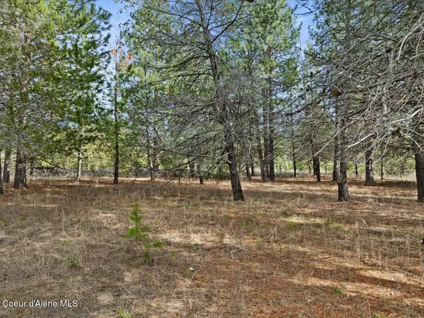 $299,900 | 33482 North Charlotte Drive, Spirit Lake, ID 83869