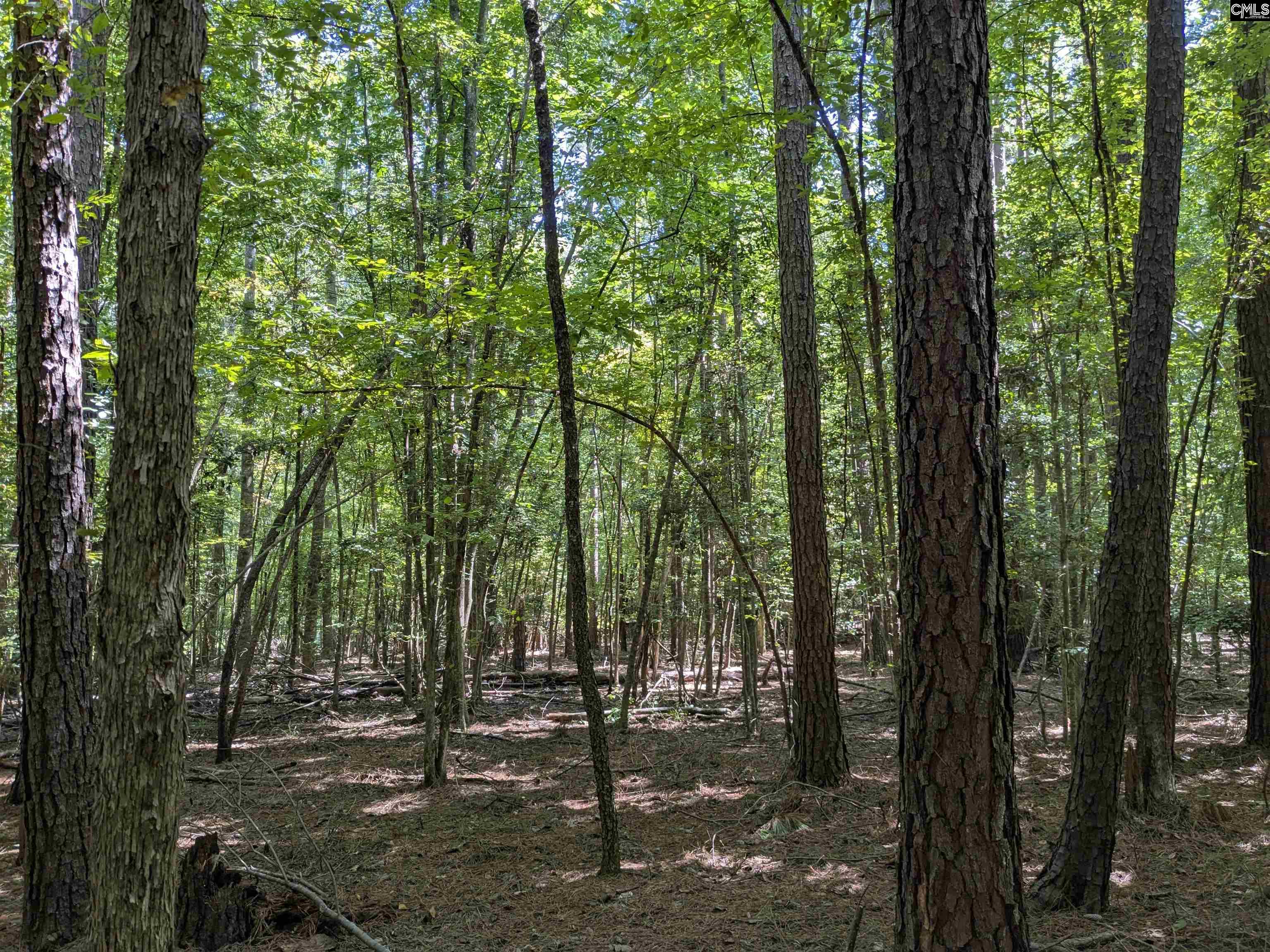 0 Taylor Road Batesburg, SC 29006 - Photo 13 of 20