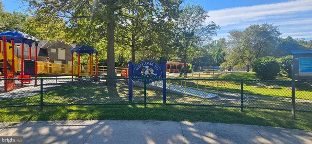 a view of a park with large trees