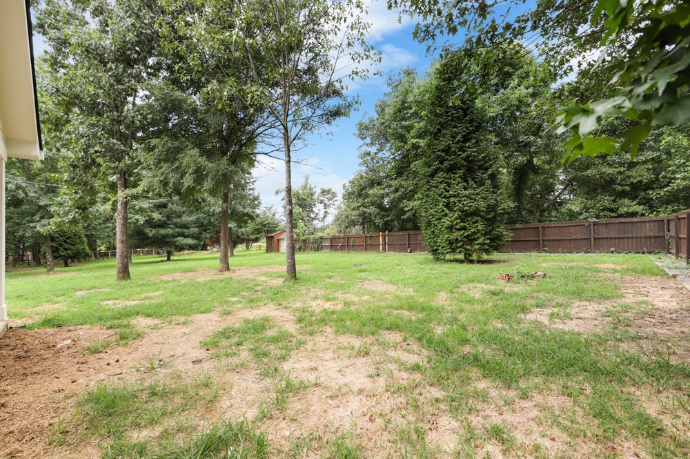 323 Independence Street Springfield, TN 37172 - Photo 30 of 37 a view of a yard with a tree