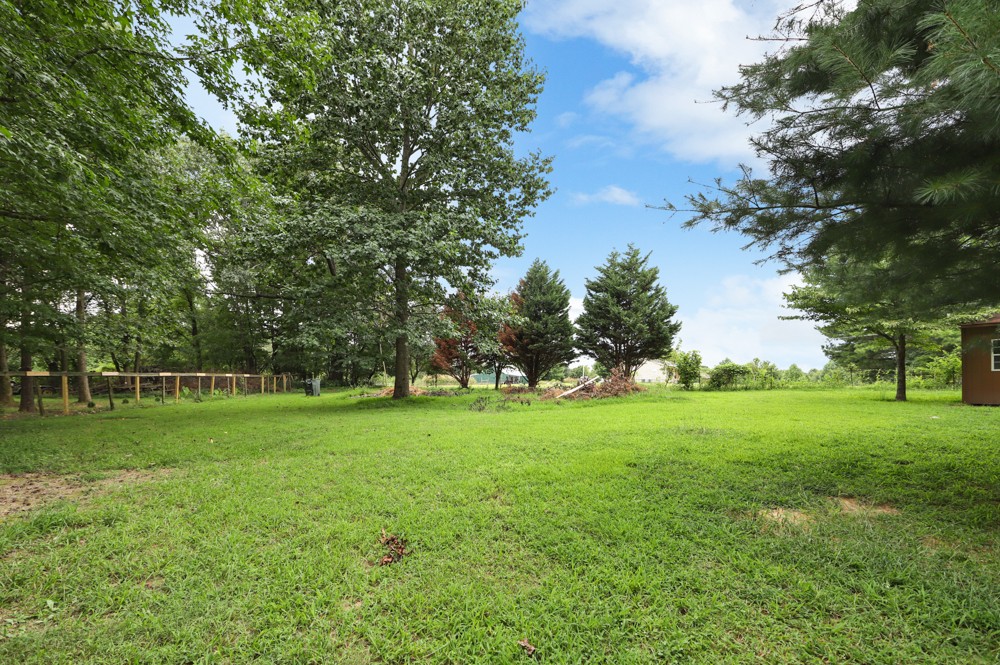 323 Independence Street Springfield, TN 37172 - Photo 37 of 37 a view of a grassy field with trees