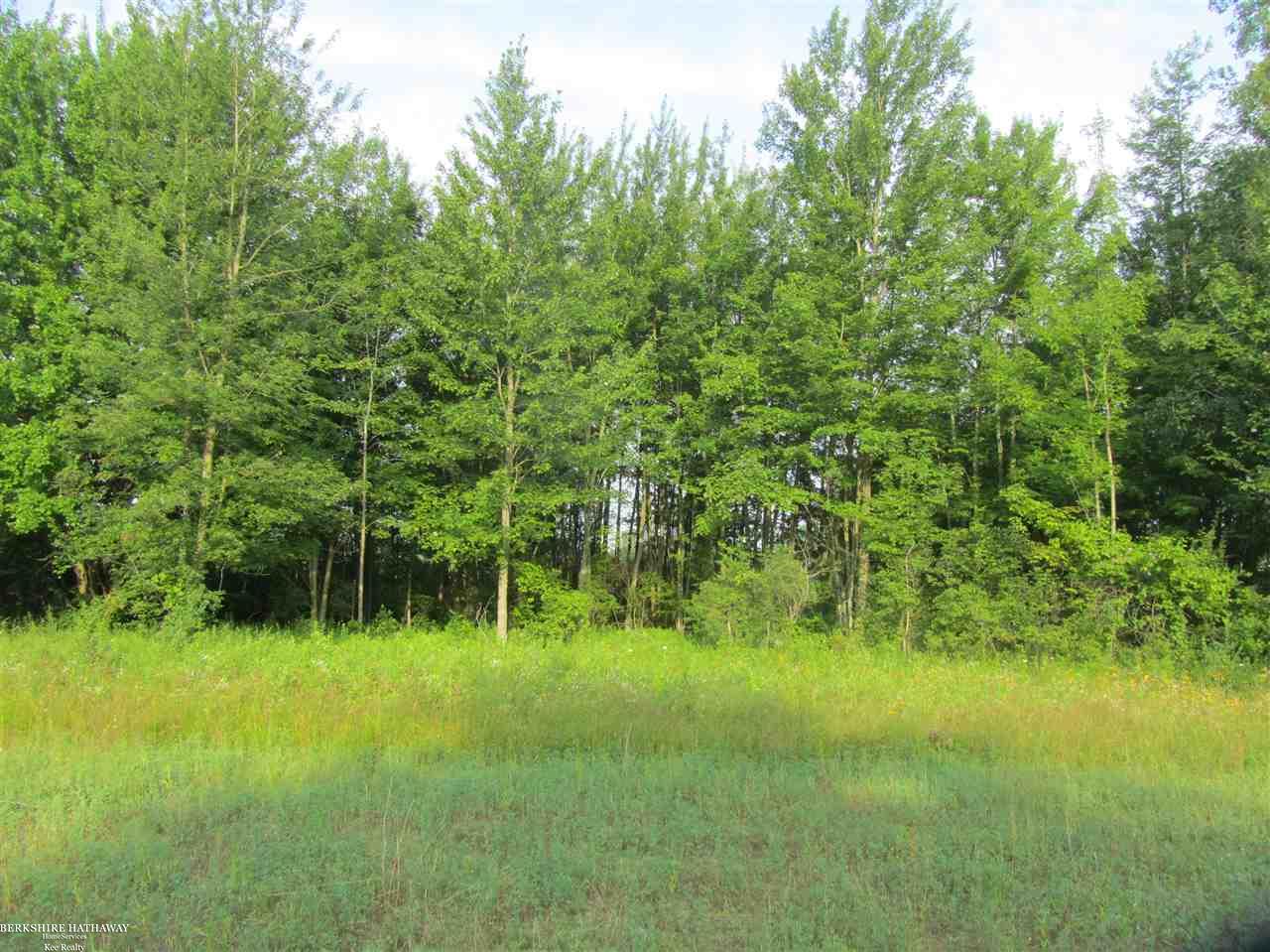 0 West Wellman Line Road Yale, MI 48097 - Photo 2 of 10