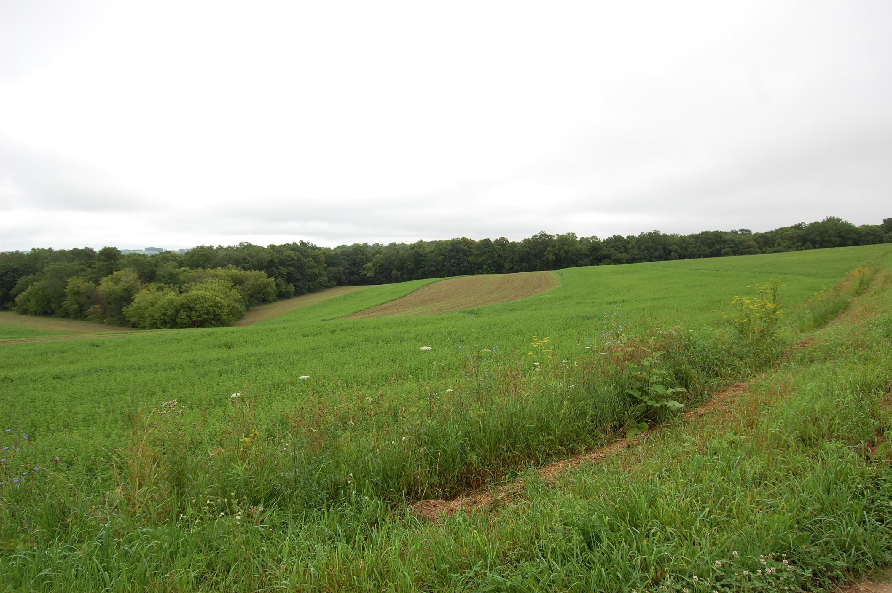 999 Halverson Ridge Soldiers Grove, WI 54655 - Photo 2 of 8