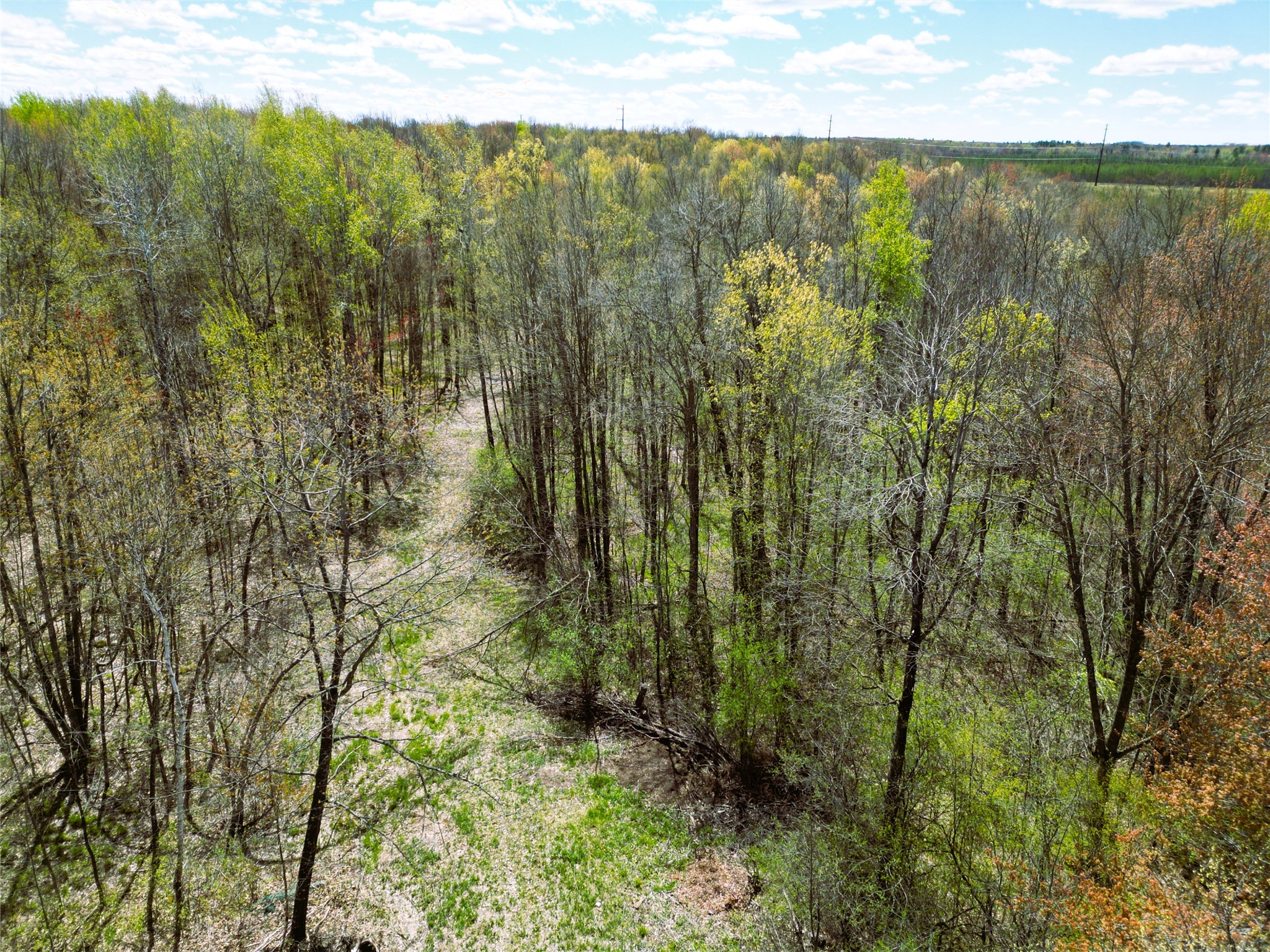 96 White Birch Ridge Road Ladysmith, WI 54848 - Photo 1 of 13