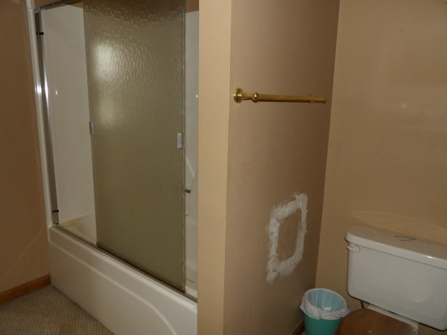 180 Morris Road Galatia, IL 62935 - Photo 16 of 28 a bathroom with a toilet and a shower