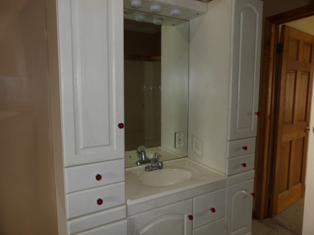 180 Morris Road Galatia, IL 62935 - Photo 18 of 28 a bathroom with a sink and a mirror