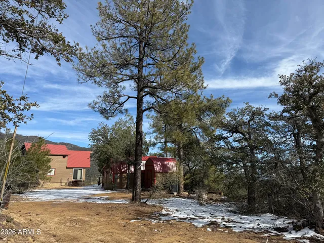 a front view of a house with a yard and tree s