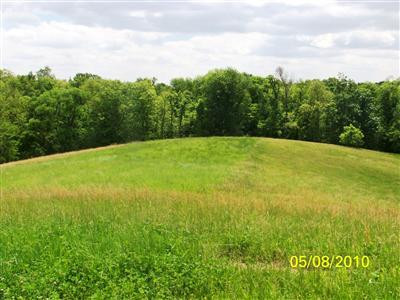 820 Buffalo Trace Road Carlisle, KY 40311 - Photo 7 of 25 Photo 7