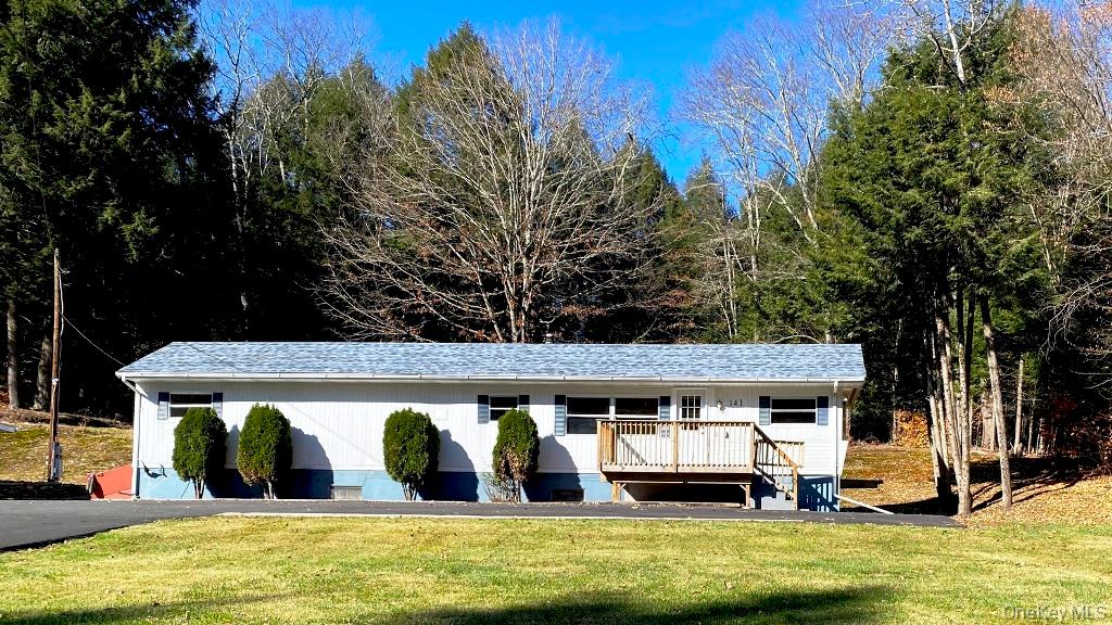 141 Gale Road Mongaup Valley, NY 12762 - Photo 1 of 20