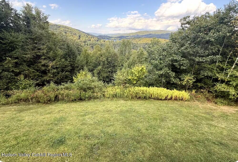 77 Vandenburg Road Canaan, NY 12029 - Photo 2 of 24 2