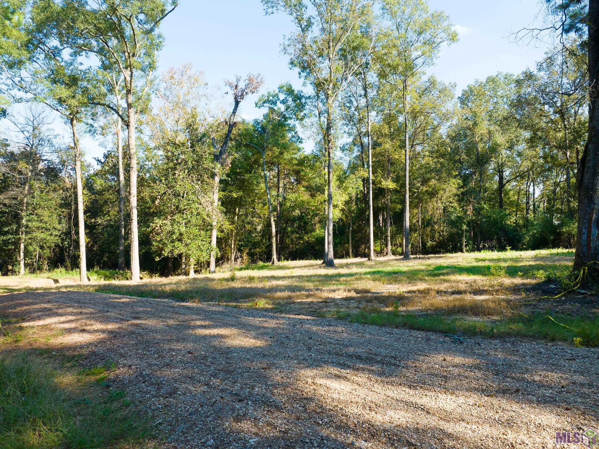 7312 Stirling Rd Street St. Francisville, LA 70775 - Photo 2 of 20