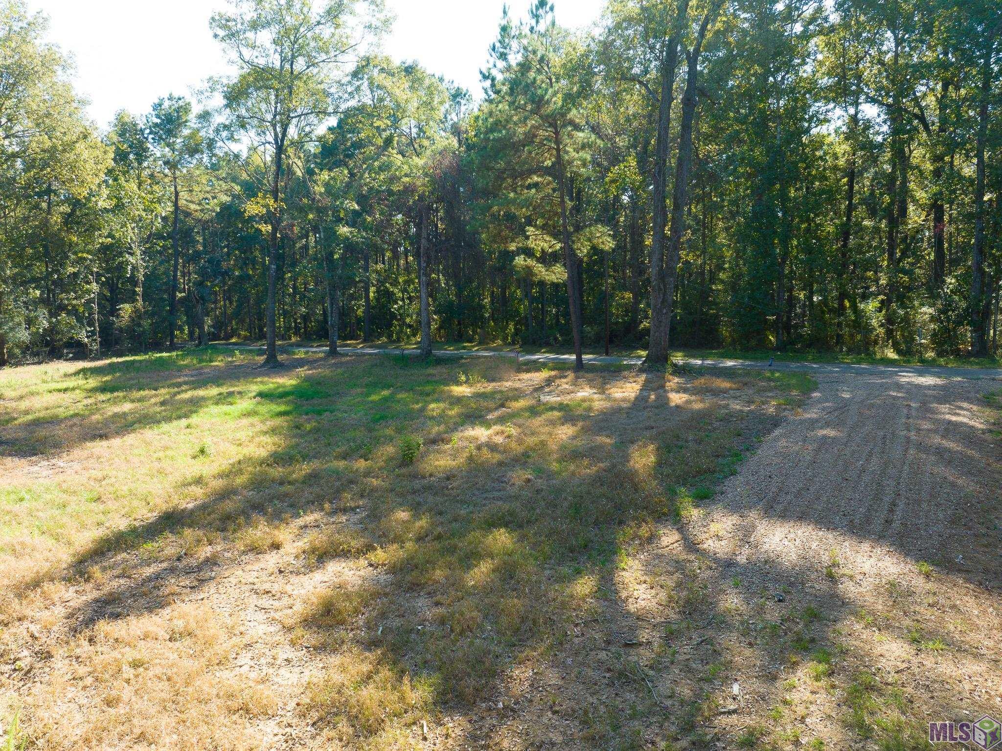 7312 Stirling Rd Street St. Francisville, LA 70775 - Photo 3 of 20