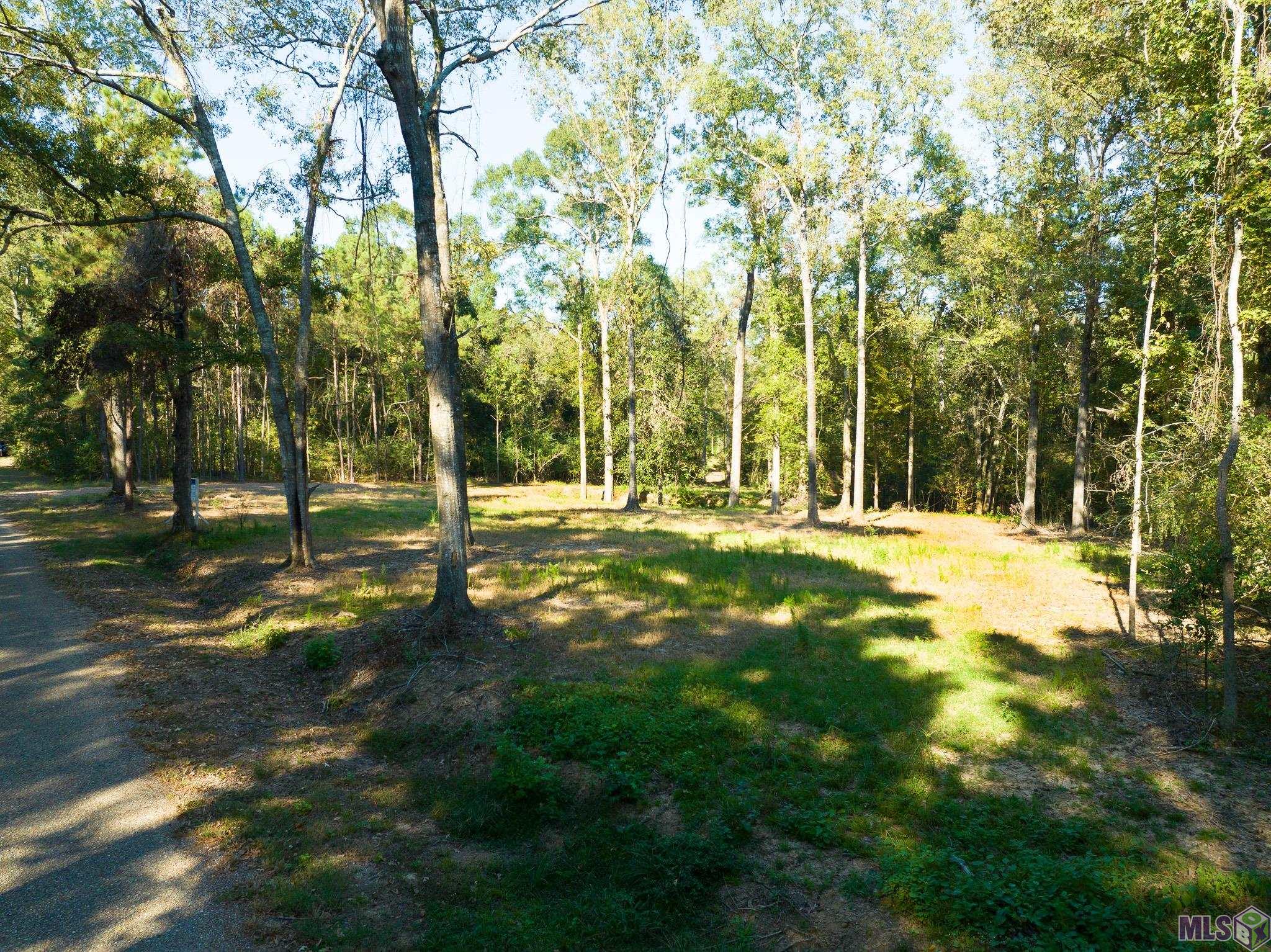 7312 Stirling Rd Street St. Francisville, LA 70775 - Photo 4 of 20
